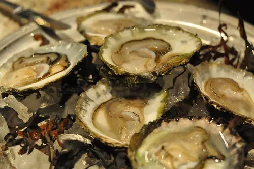 How's Louisiana's oyster industry enduring this National Oyster Day?