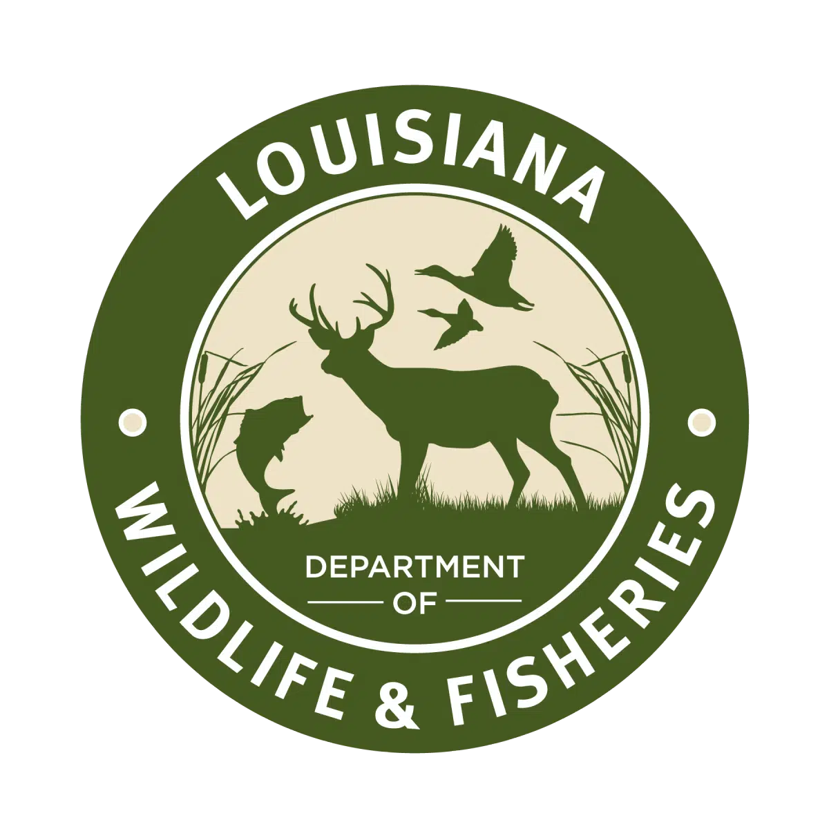 Louisiana Department of Wildlife and Fisheries alerts public of potential fish kills due to hot temperatures and summer storms