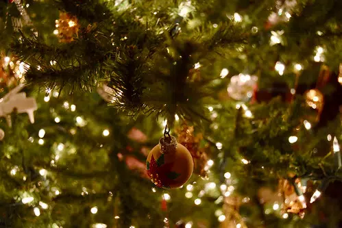 Christmas tree farmers expect a banner year