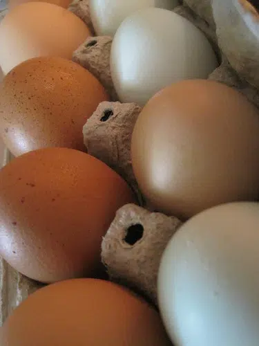 What you can egg-pect to pay for a dozen eggs this Easter