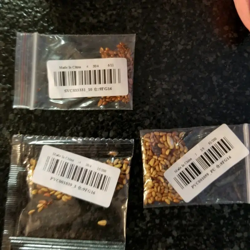 Hundreds of residents report receiving mysterious seeds in the mail