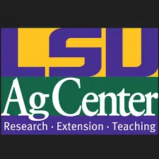 LSU AgCenter estimates Hurricane Laura caused at least 1.6 billion dollars in losses to ag and forestry industry