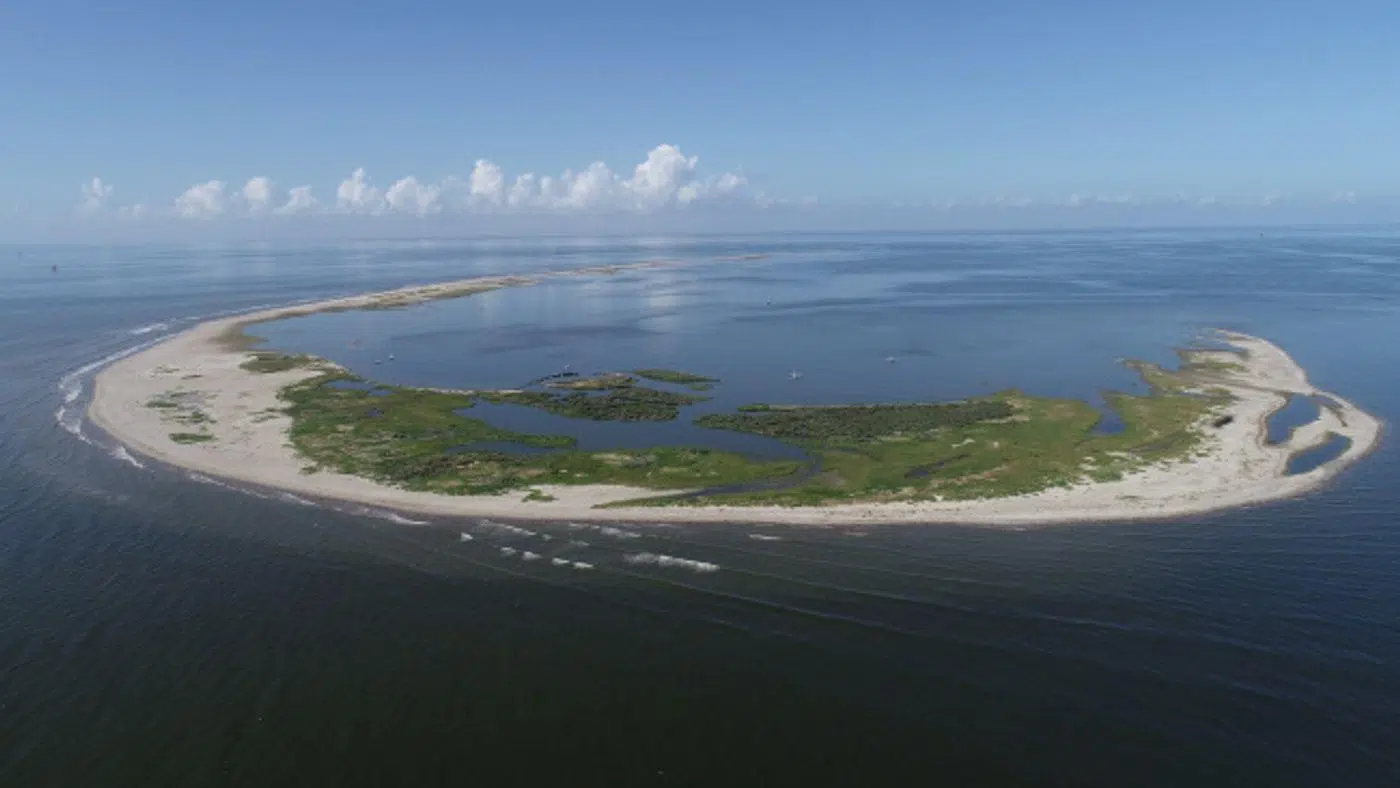 Pelican sanctuary off Plaquemines Parish coast to more than double in size