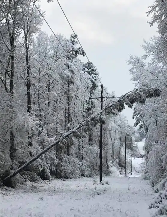 Louisiana winter storm round two: ice in the north and rain in the south