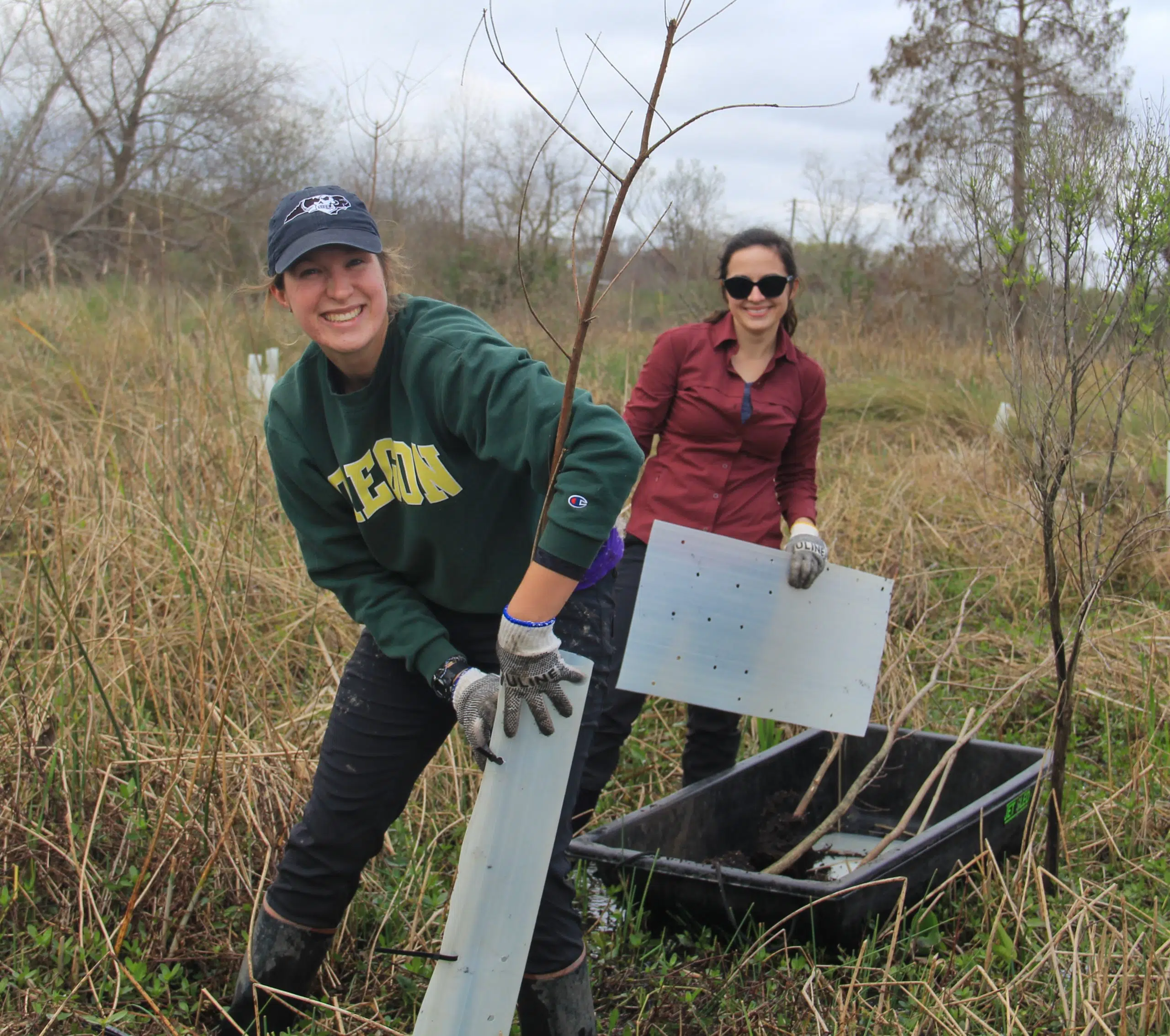 Non-Profit Seeks Volunteers To Plant Hundreds Of Tree In Lake Maurepas