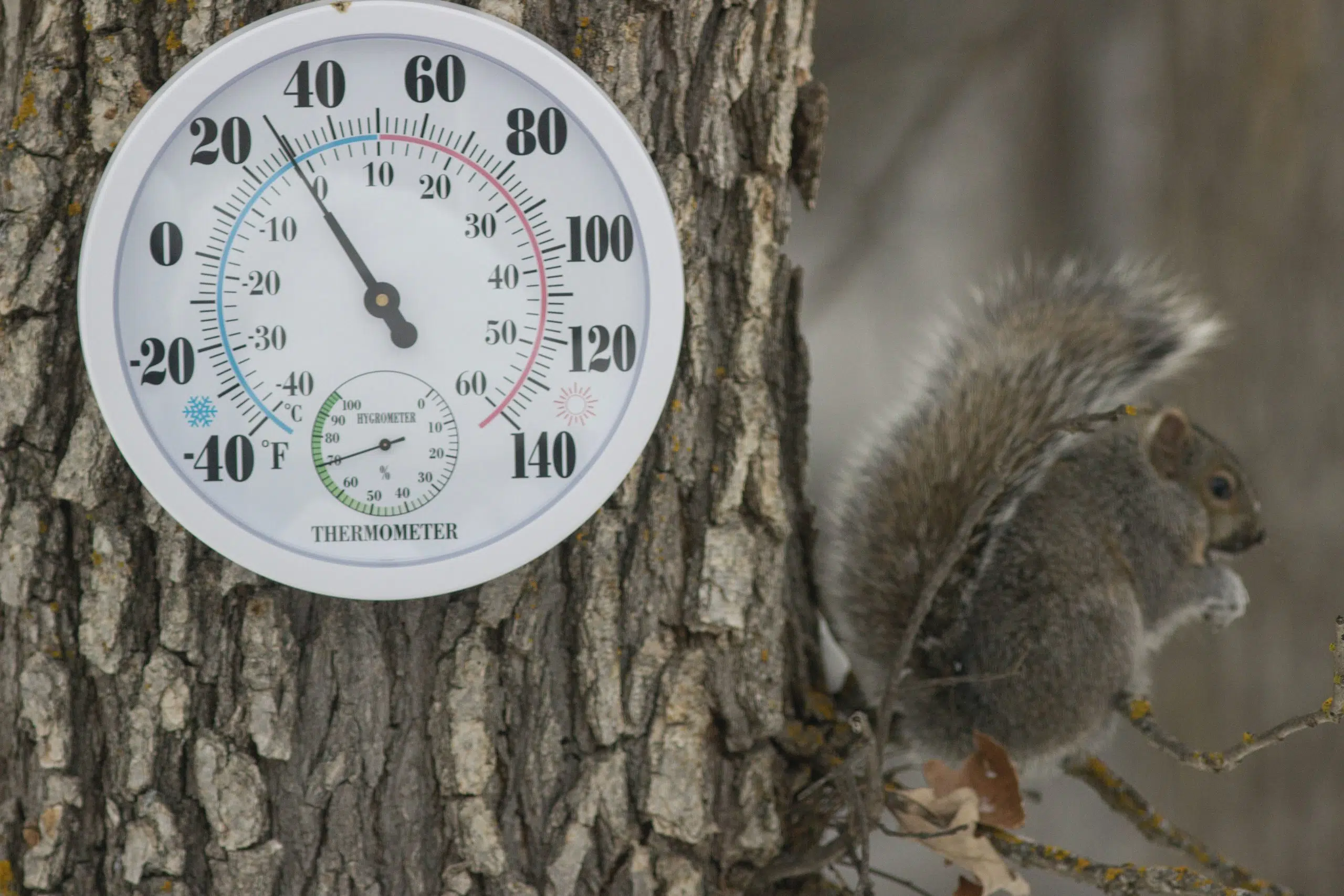 The chance for winter precipitation next week remains uncertain