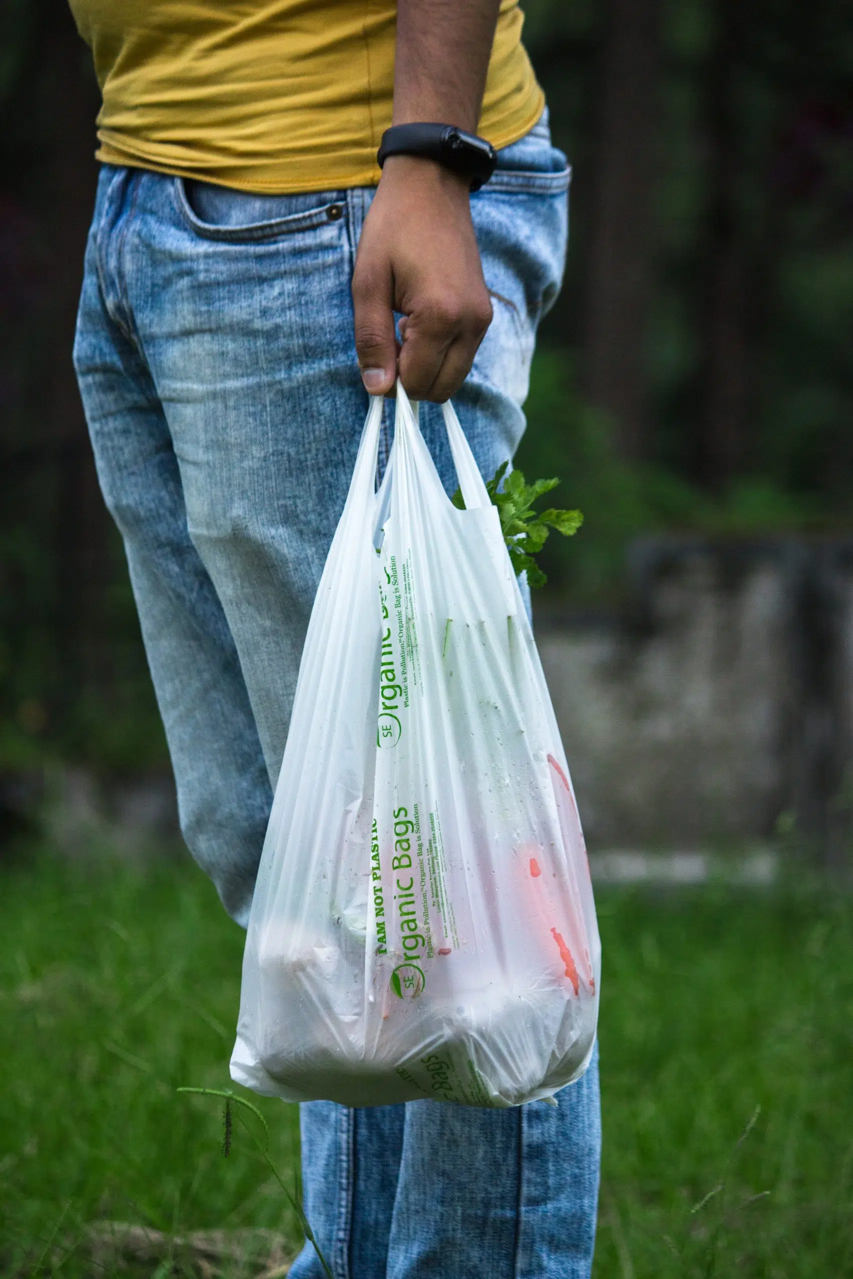 Single use plastic bags in Louisiana could be thing of the past if one lawmaker has his way