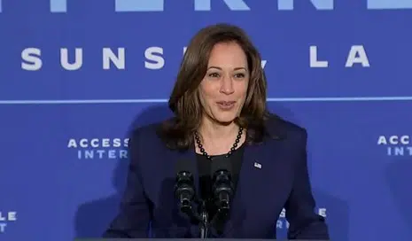 LA Democratic Party supports Kamala Harris to lead the presidential ticket