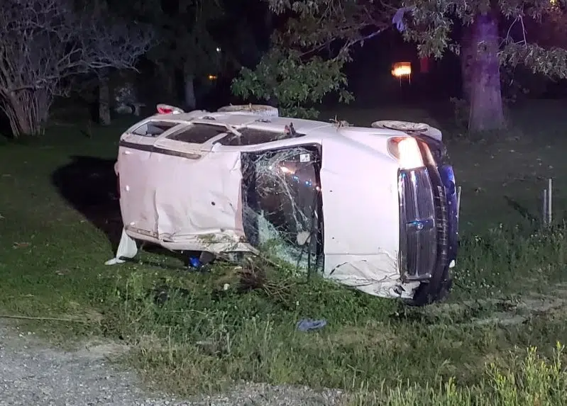 Car in Central with 11 children flips and mother faces cruelty charges