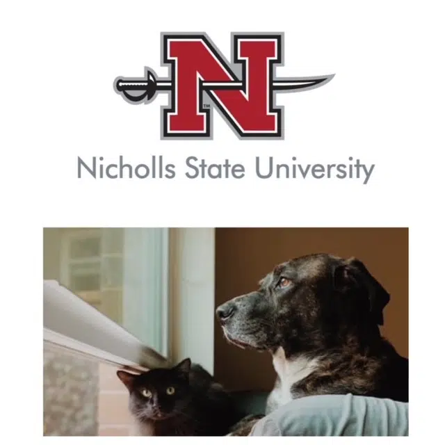 Nicholls State to open first pet-friendly residence hall Fall 2022