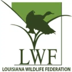 Louisiana could receive $15M annually to preserve wildlife with passage of the Recovering America's Wildlife Act