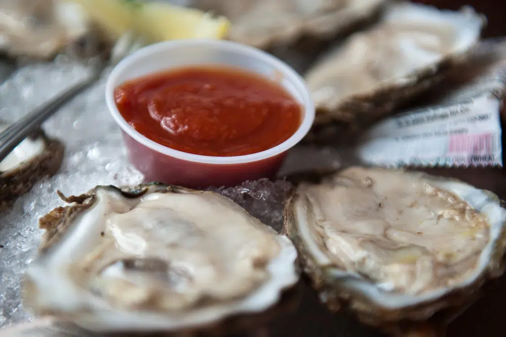 CRCL expands oyster shell recycling program to Baton Rouge