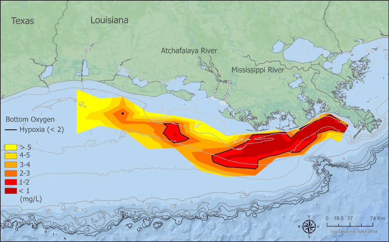 Gulf "Dead Zone" smaller, but not because of a reduction of nitrogen and phosphorus nutrients from Midwest farms