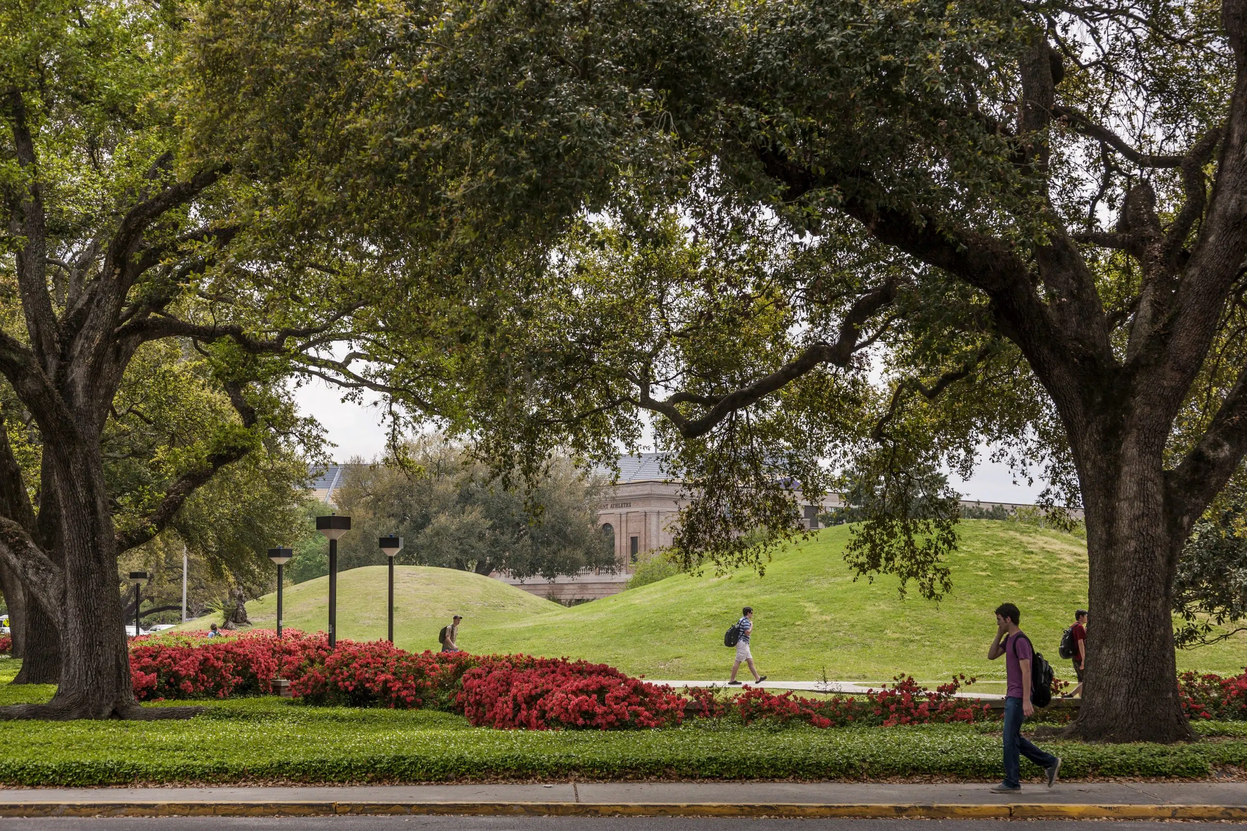 New research shows LSU campus mounds are the oldest known manmade structures in North America