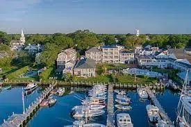 Senator Cassidy approves of DeSantis' migrant airlift to Martha's Vineyard