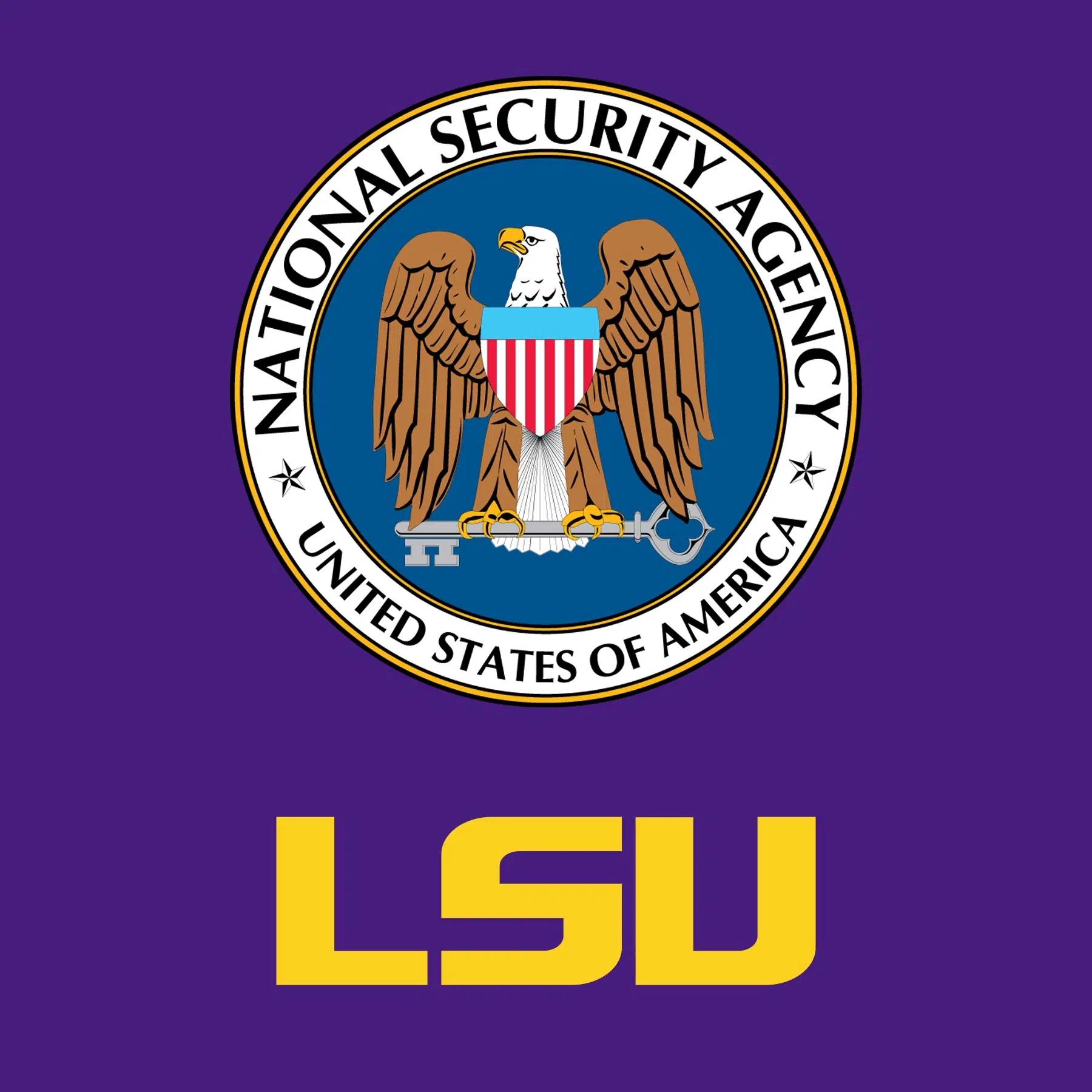 LSU is recognized as a Center of Academic Excellence in Cyber Operations by the NSA