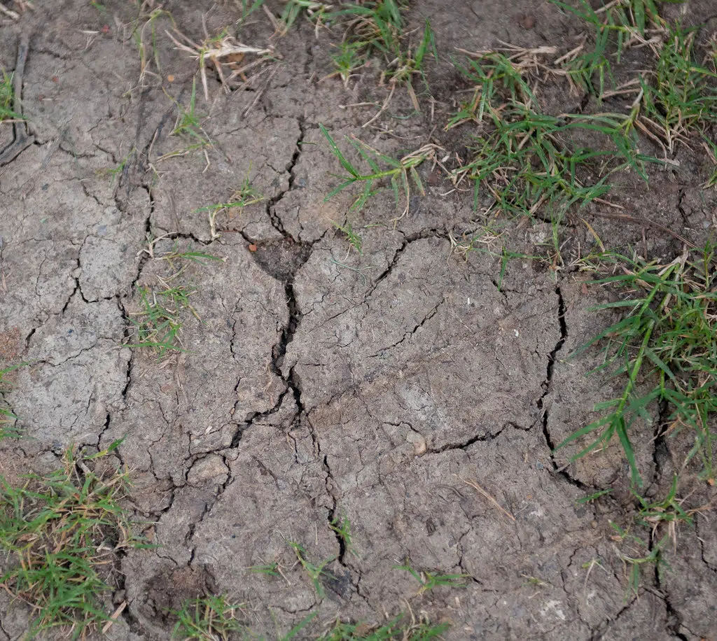 State climatologist says Louisiana weather is nearing drought conditions.