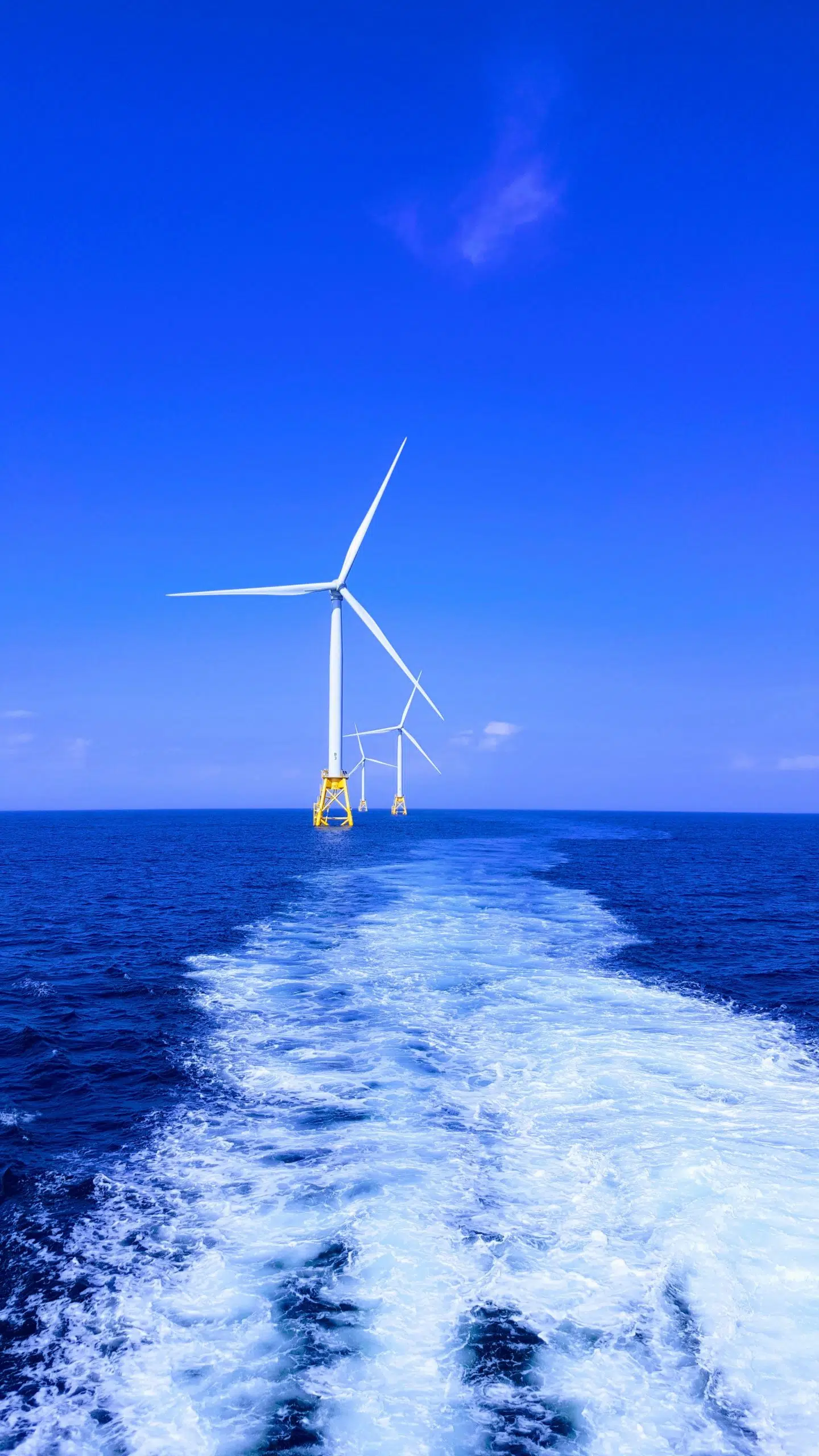 Federal government opens Gulf of Mexico offshore wind lease auction for first time today