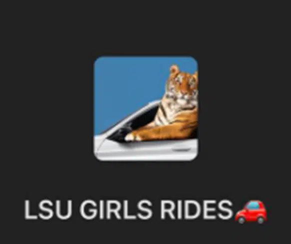 LSU students create a group to help female students get home safely