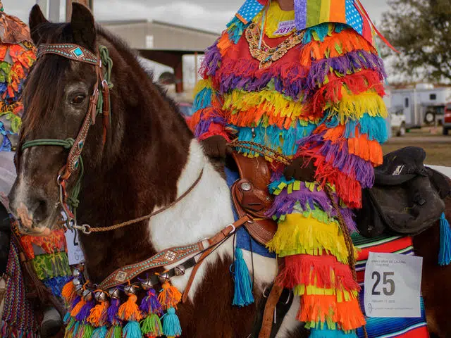 Chasing Chickens in City of Eunice is a Mardi Gras Tradition