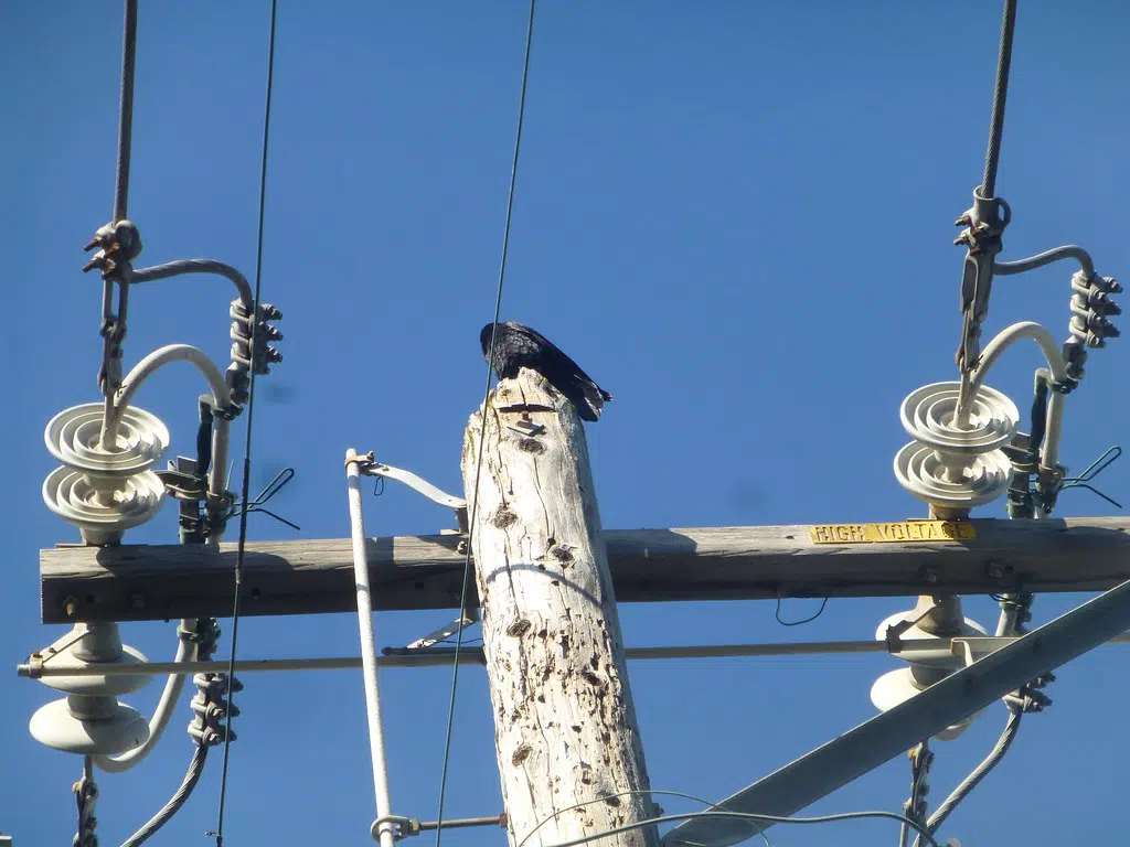 Entergy seeking federal grants to upgrade power grid in Louisiana