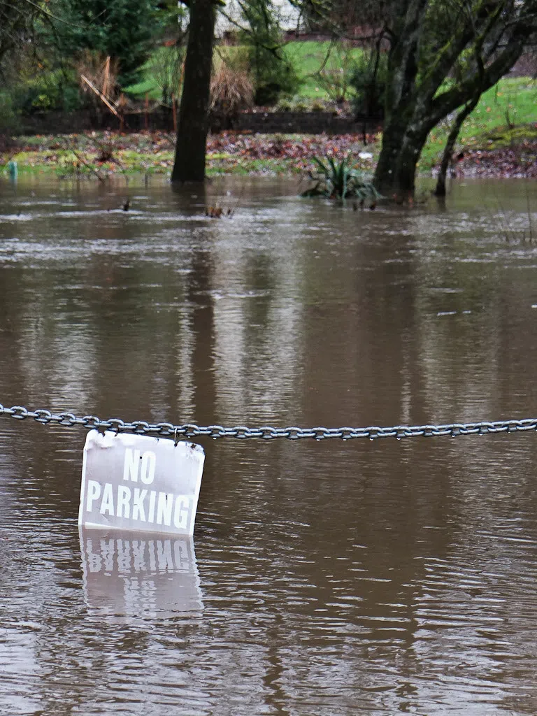 Cassidy working to reform flood insurance program and reduce rate increases