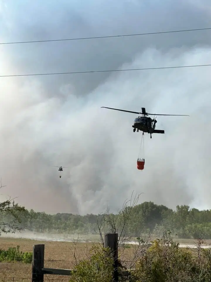 Louisiana Forestry Association offer up to $15, 000 reward for information leading to arson arrests