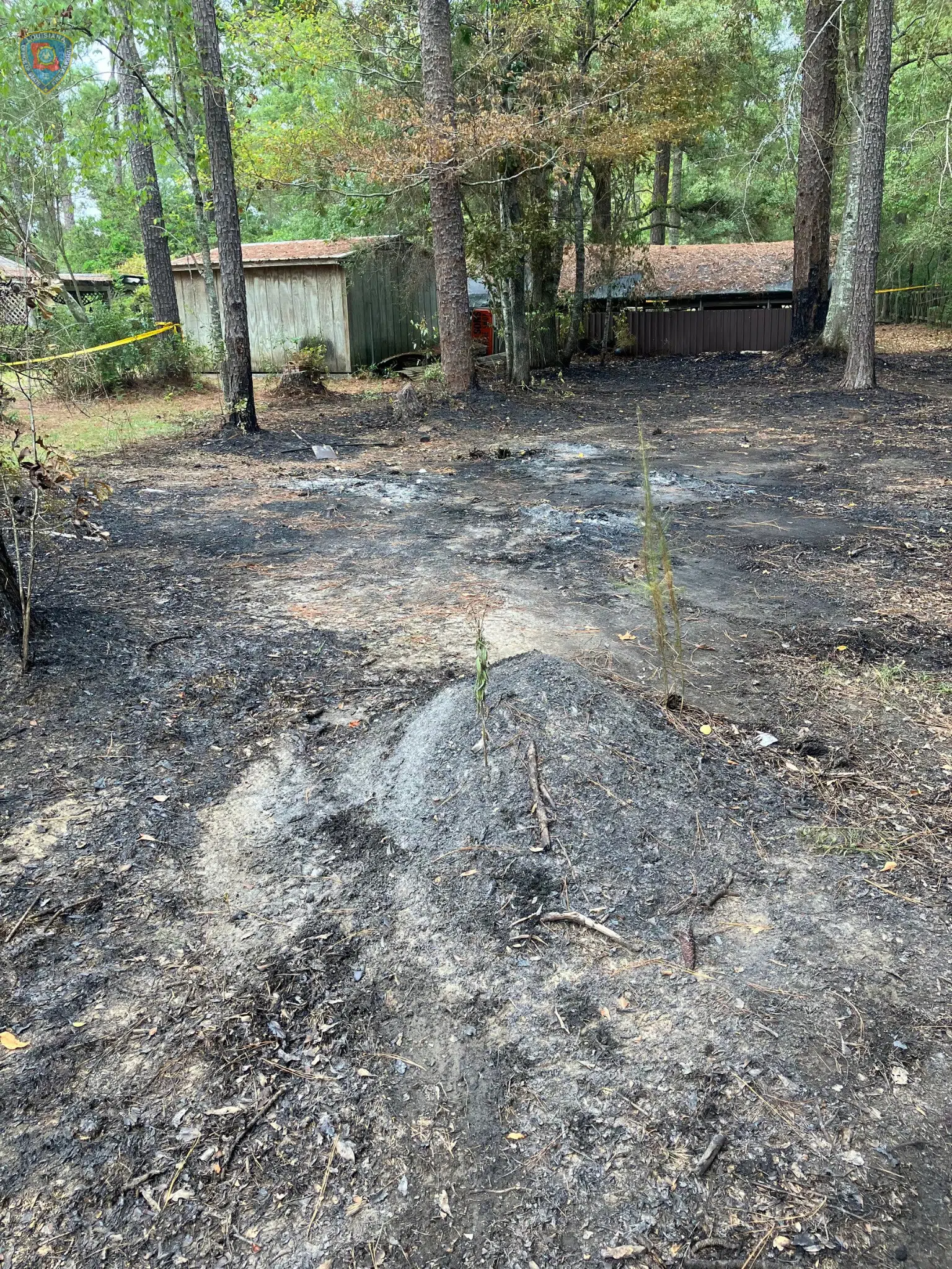 Elderly Folsom woman dies after falling in brush fire