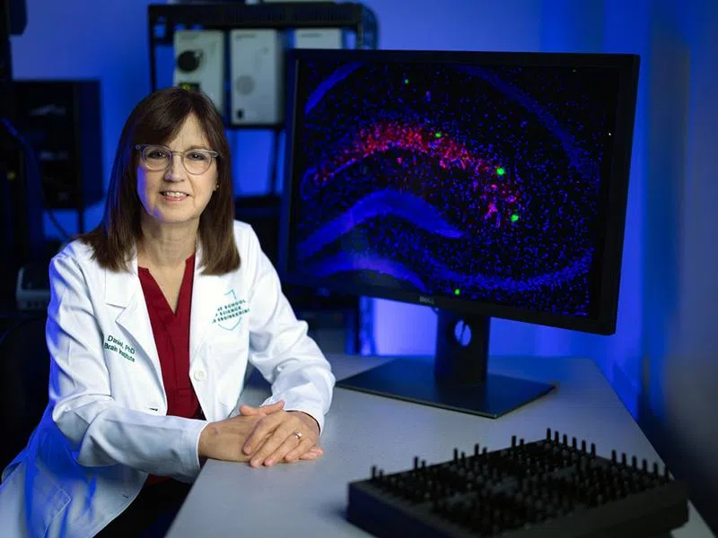 Tulane study to see if estrogen can improve brain health for women