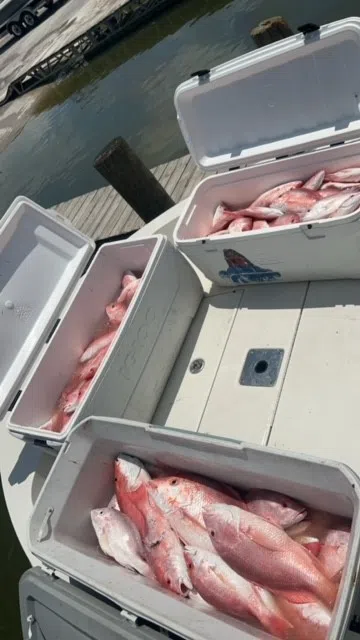 LDWF issues citations to illegal immigrants for illegally catching 120 red snapper