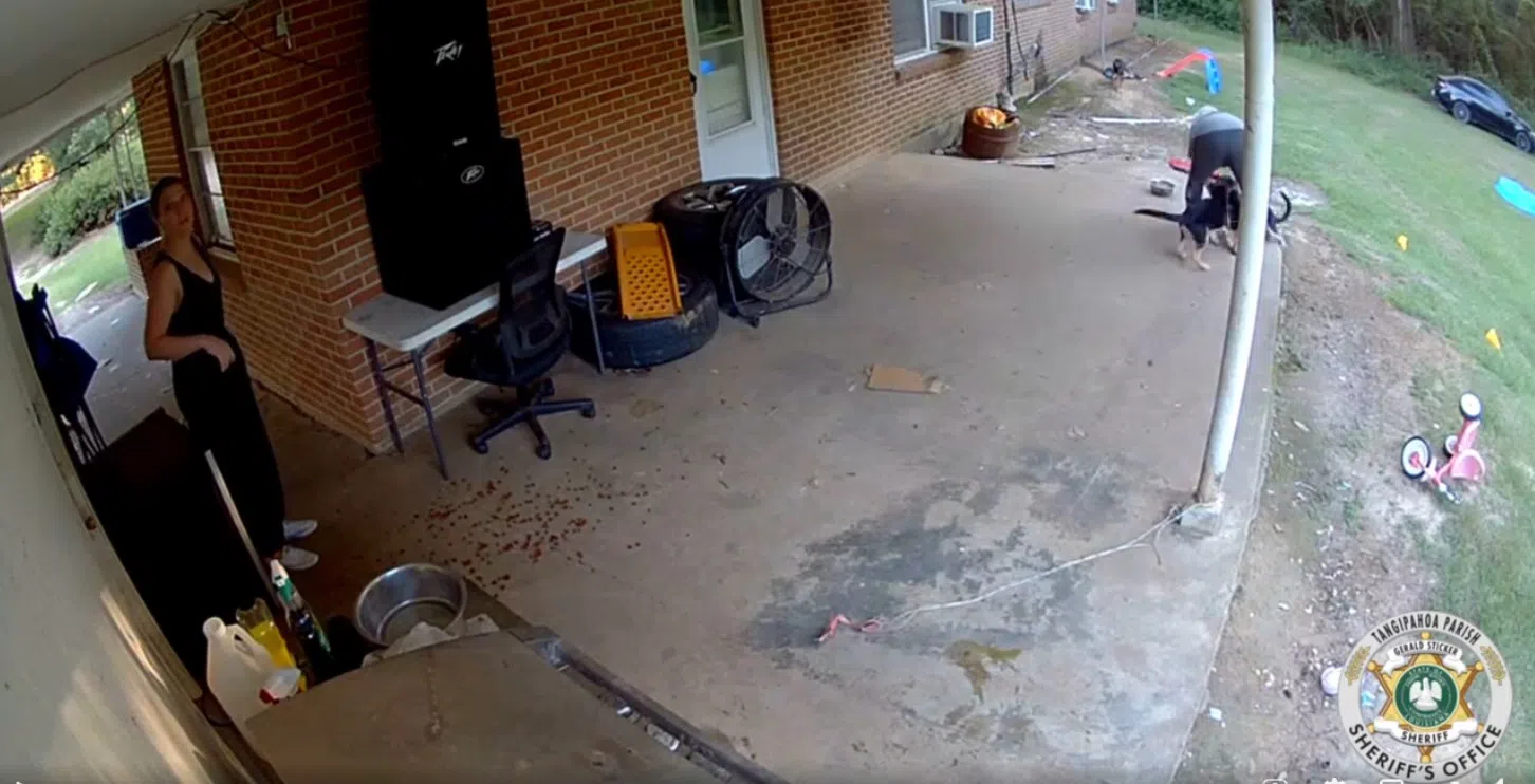 Two women turn themselves in after they allegedly stole three German Shepherd puppies