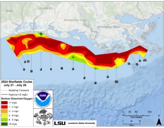 Gulf of Mexico dead zone is larger than expected this year