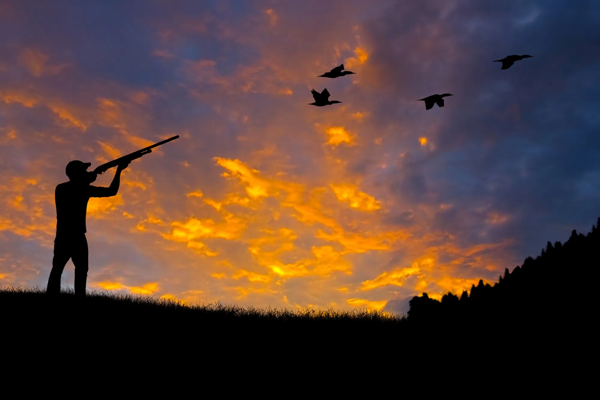 Louisiana dove hunting season starts tomorrow