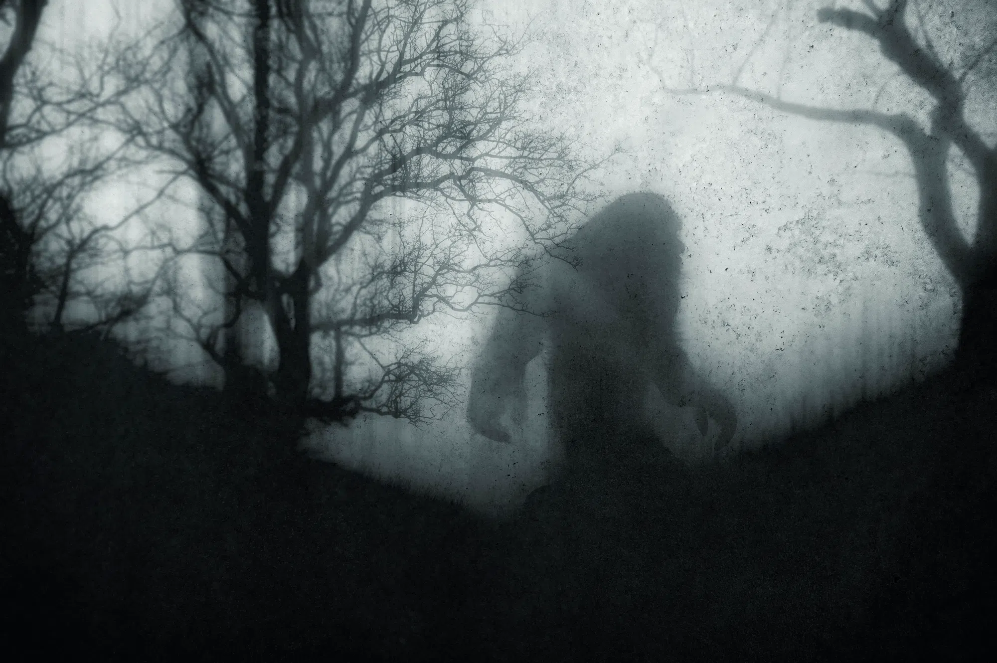 Bigfoot festival to be held in Natchitoches Saturday