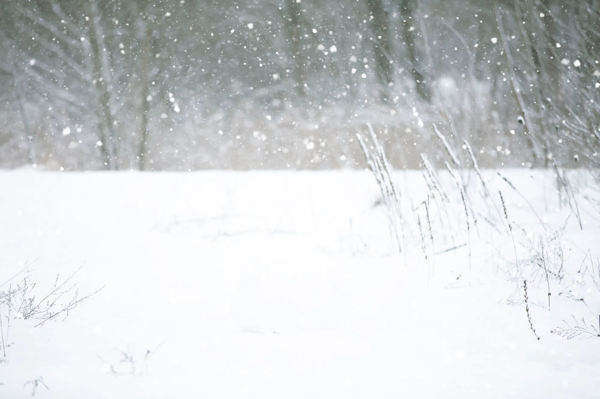 St. Bernard Parish received record snowfall from historic winter storm