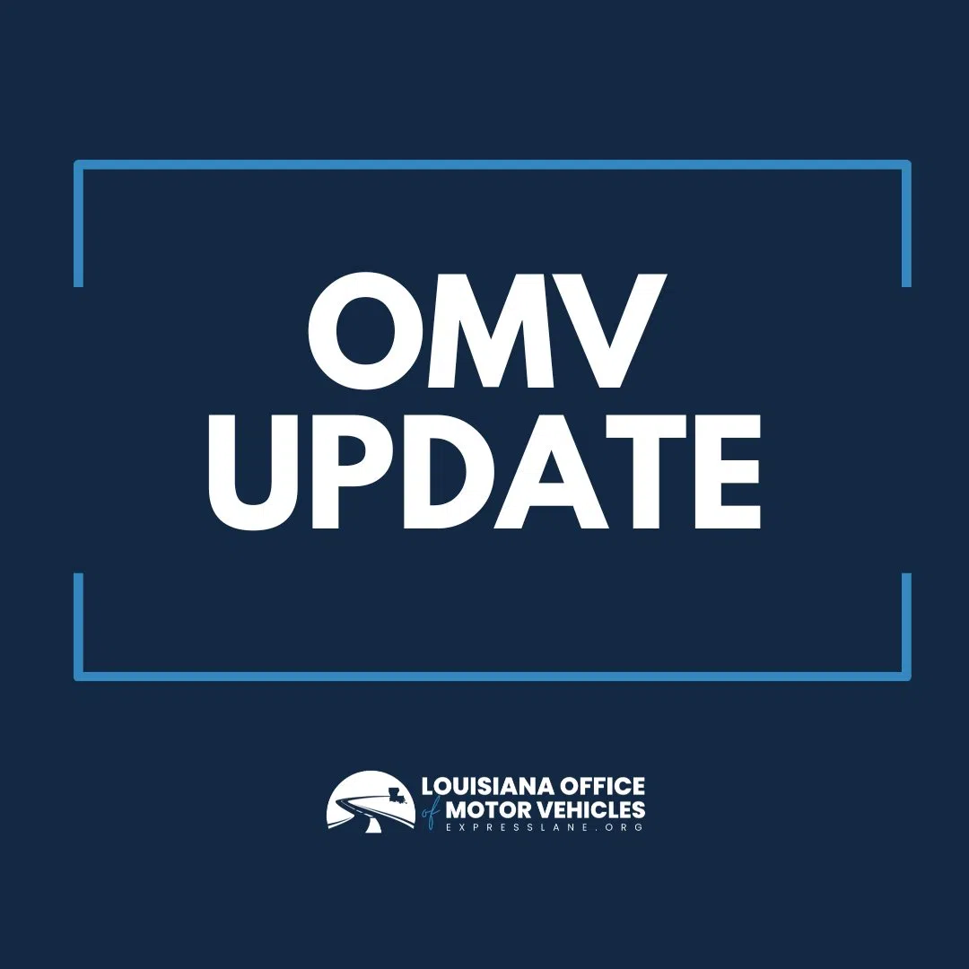 OMV mainframe shows significant improvements