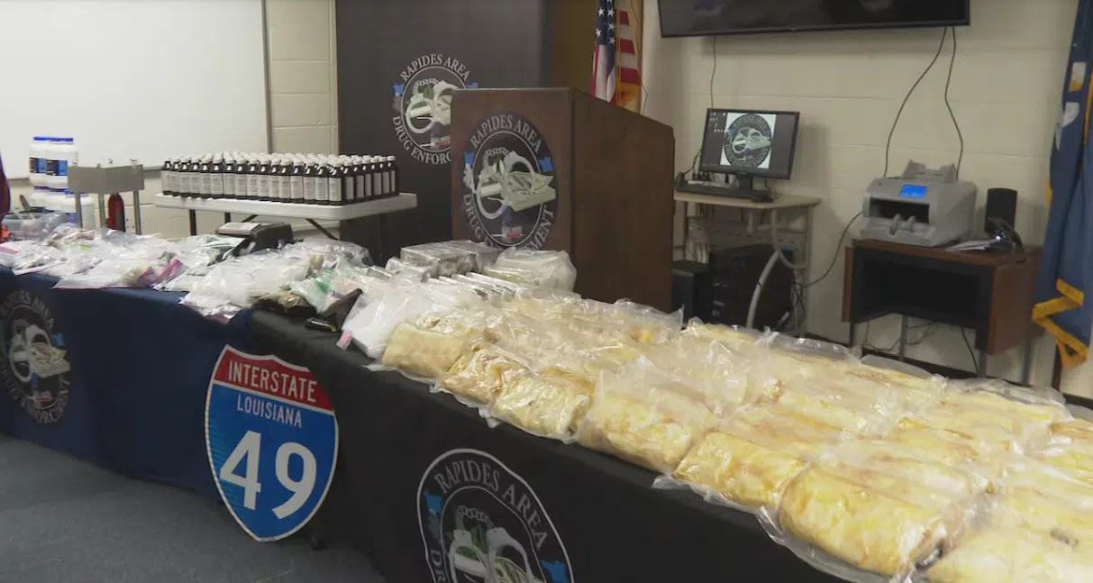 Rapides deputies make major narcotic seizure and arrest