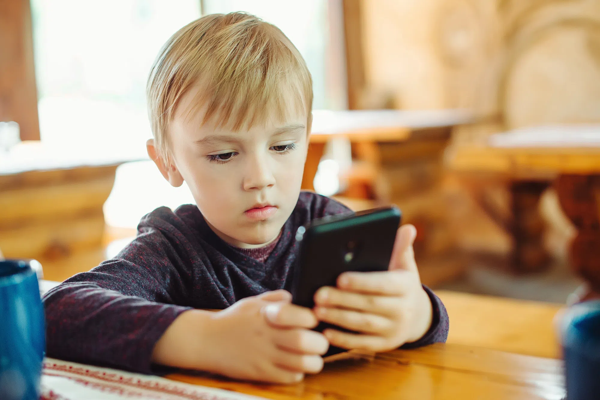 Governor Landry Signs App Store Accountability Act.