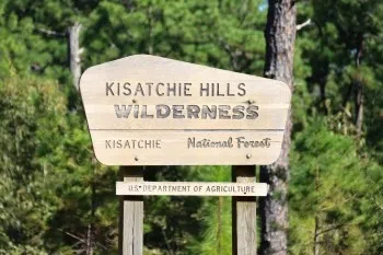 Progress being made in containment of Backbone Fire in Kisatchie Hills Wilderness Area