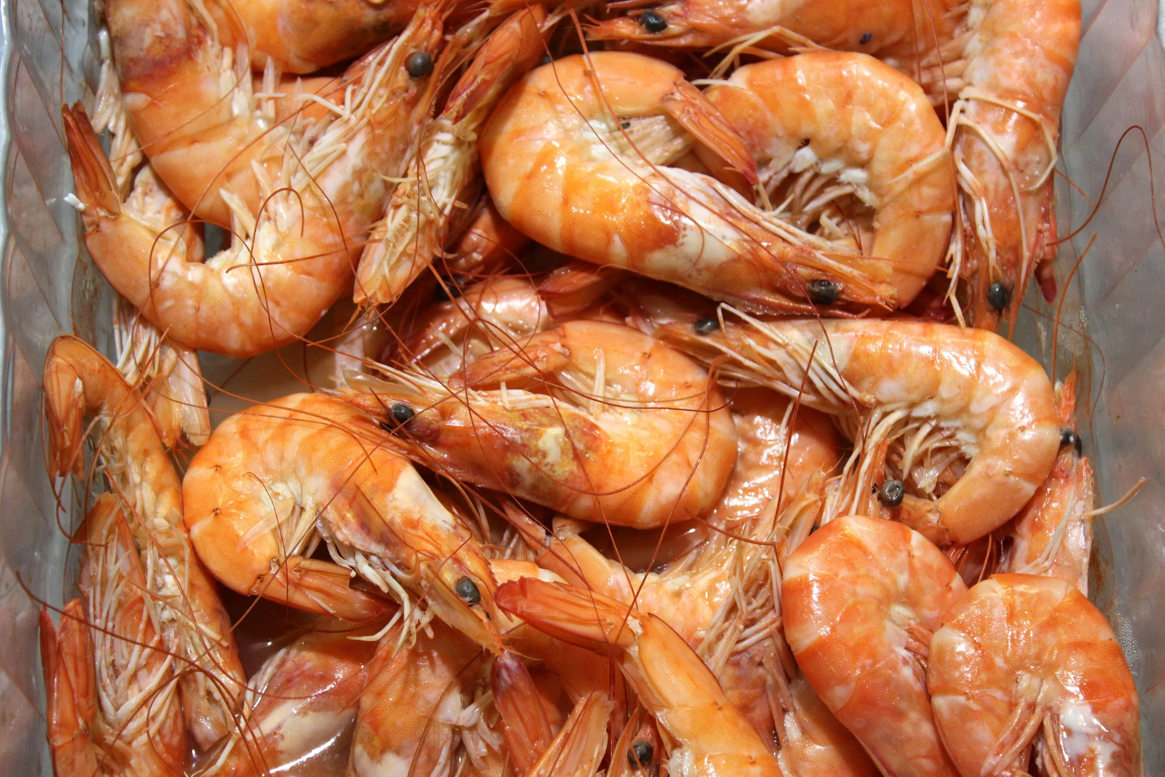 Louisiana Shrimp Association demands action as Walmart recalls radioactive frozen shrimp imported from Indonesia