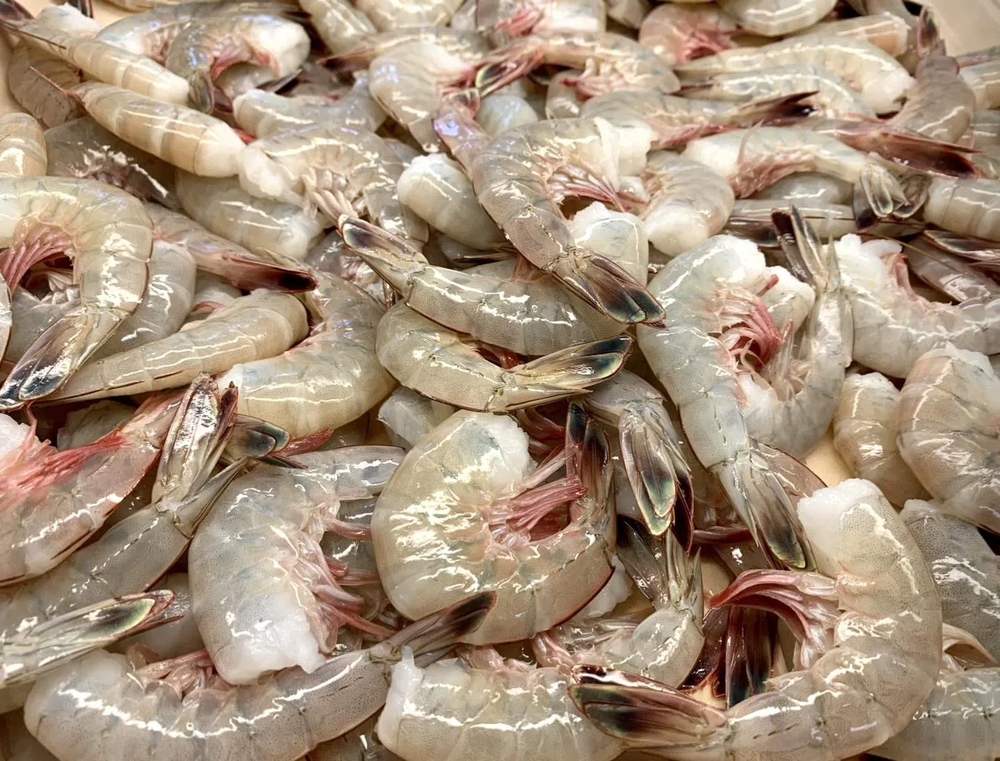 Audit: North Louisiana restaurants that serve imported shrimp fail to comply with Louisiana seafood labeling laws