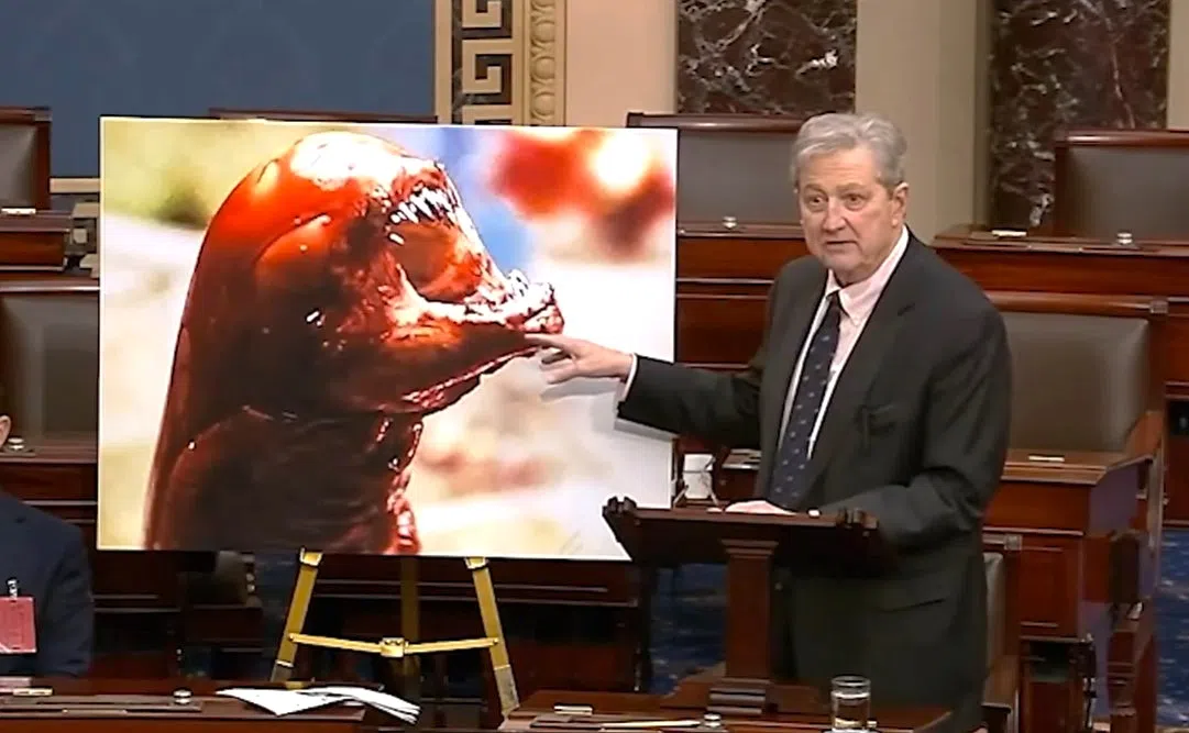 Louisiana Senator John Kennedy makes bold claim that eating radioactive foreign shrimp can turn you into an "Alien"