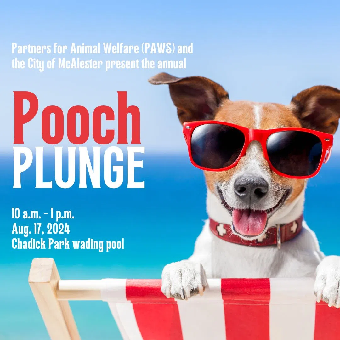 PAWS Presents: Pooch Plunge