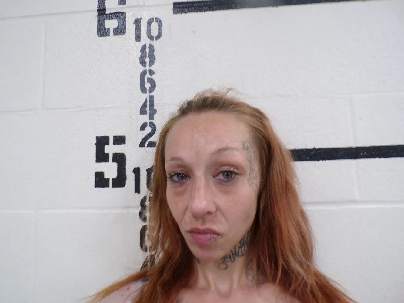 Indianola Woman Arrested After Newborn Twins Test Positive for Meth