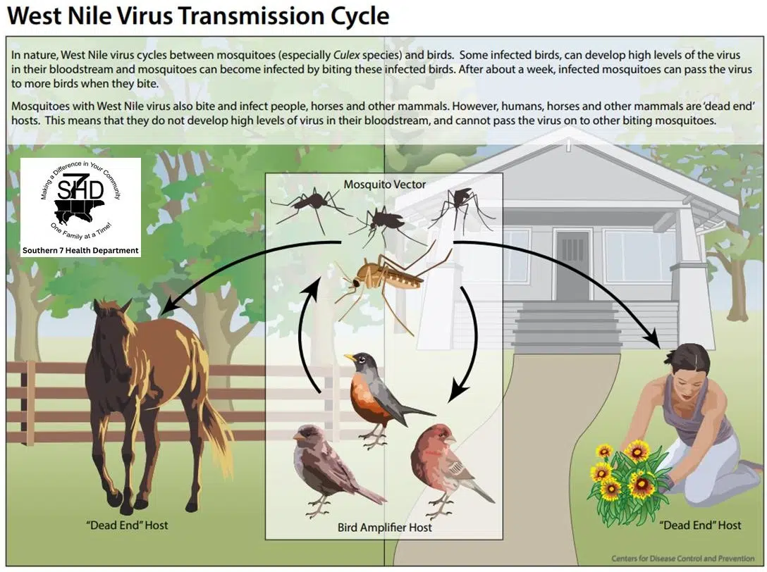 Southern 7 Health Department to begin Annual Testing for West Nile Virus