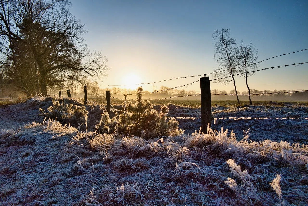 Embracing the Winter Solstice this Saturday: A Celebration of Light and Renewal