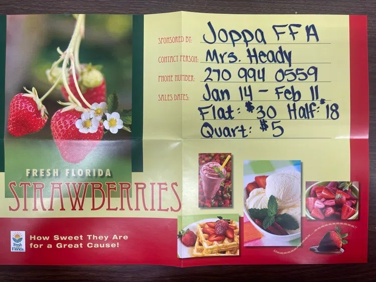 The time has come for Joppa FFA's annual Strawberry Sale!