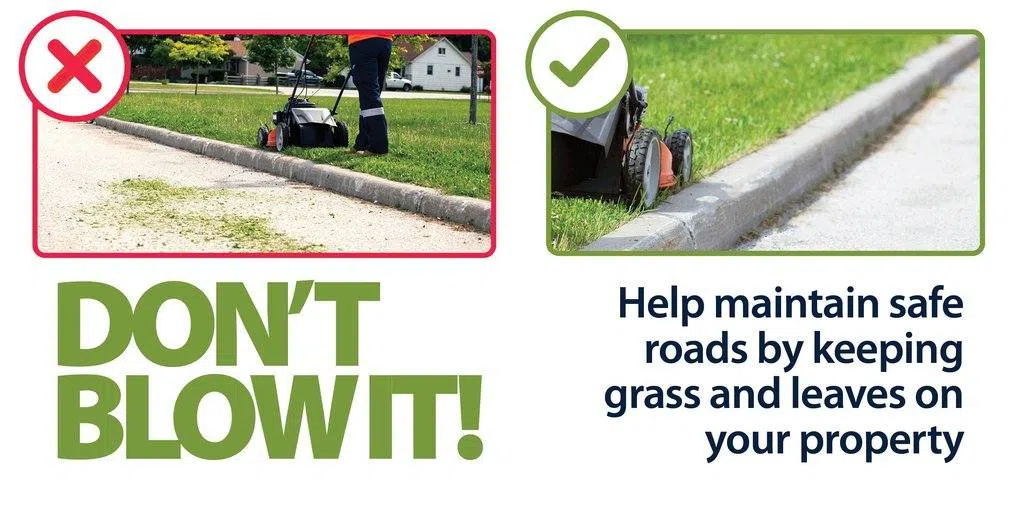 Don't Blow It - Keep Grass Off the Road in the City of Metropolis