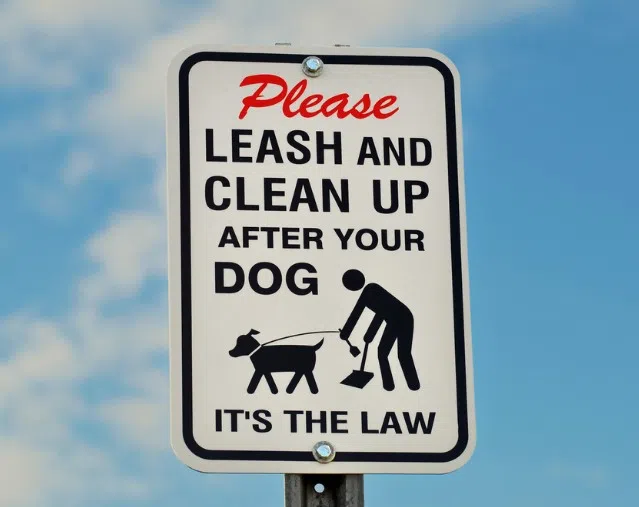 Leash Up and Clean Up: A Reminder for Responsible Pet Ownership in the City of Metropolis