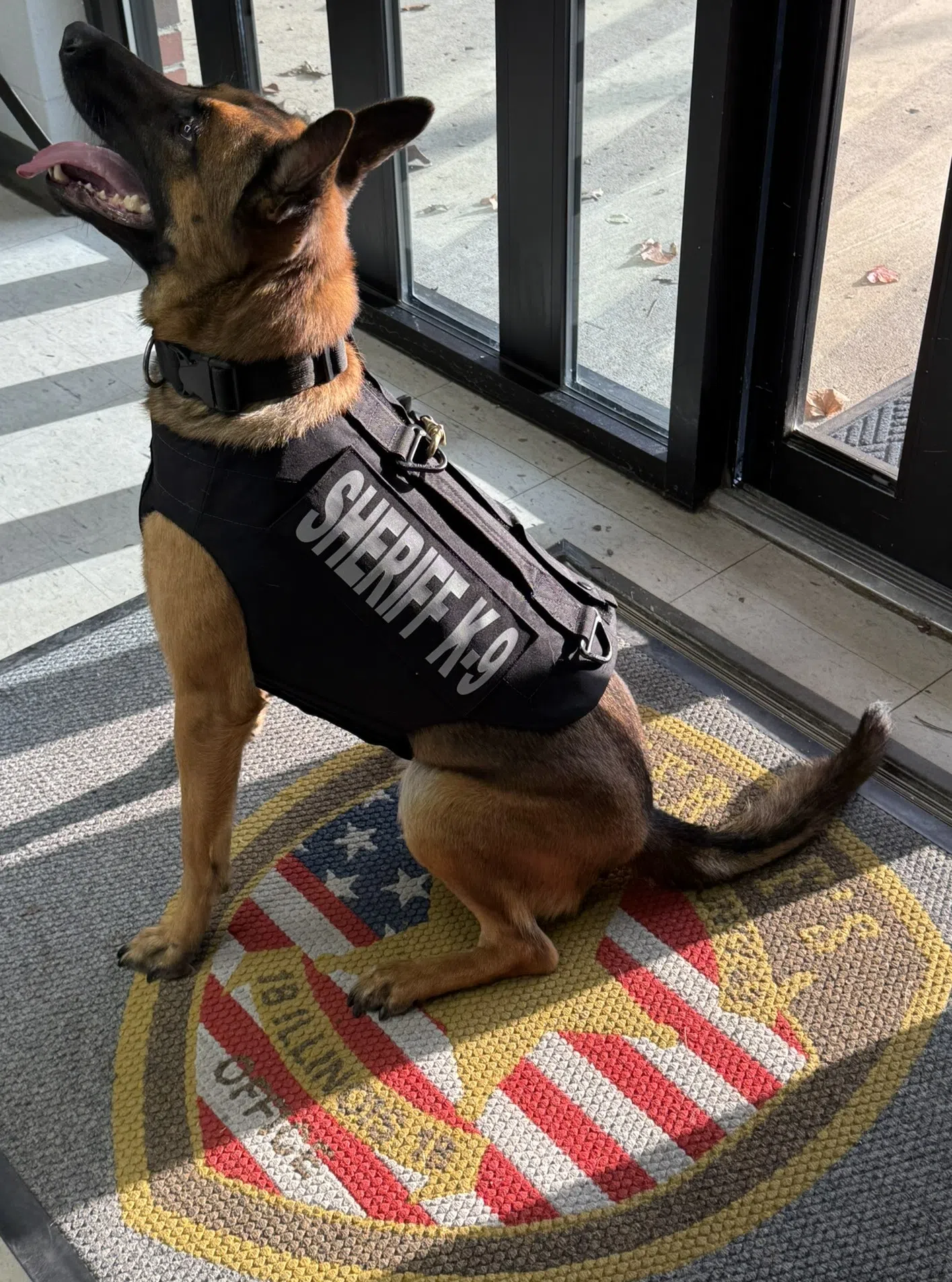 Massac County Sheriff's Office K9 Chase has received donation of body armor